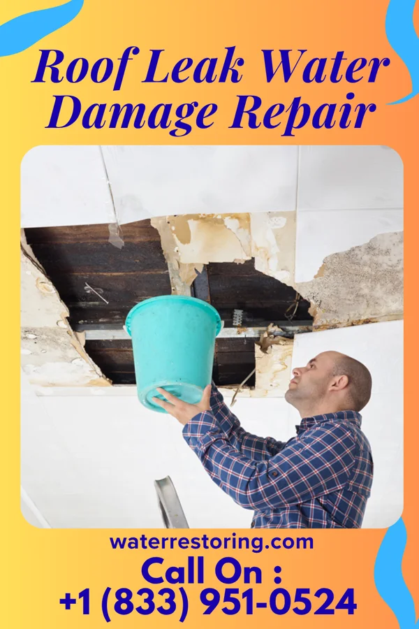 Roof Leak Water Damage Repair in Drummond, ID